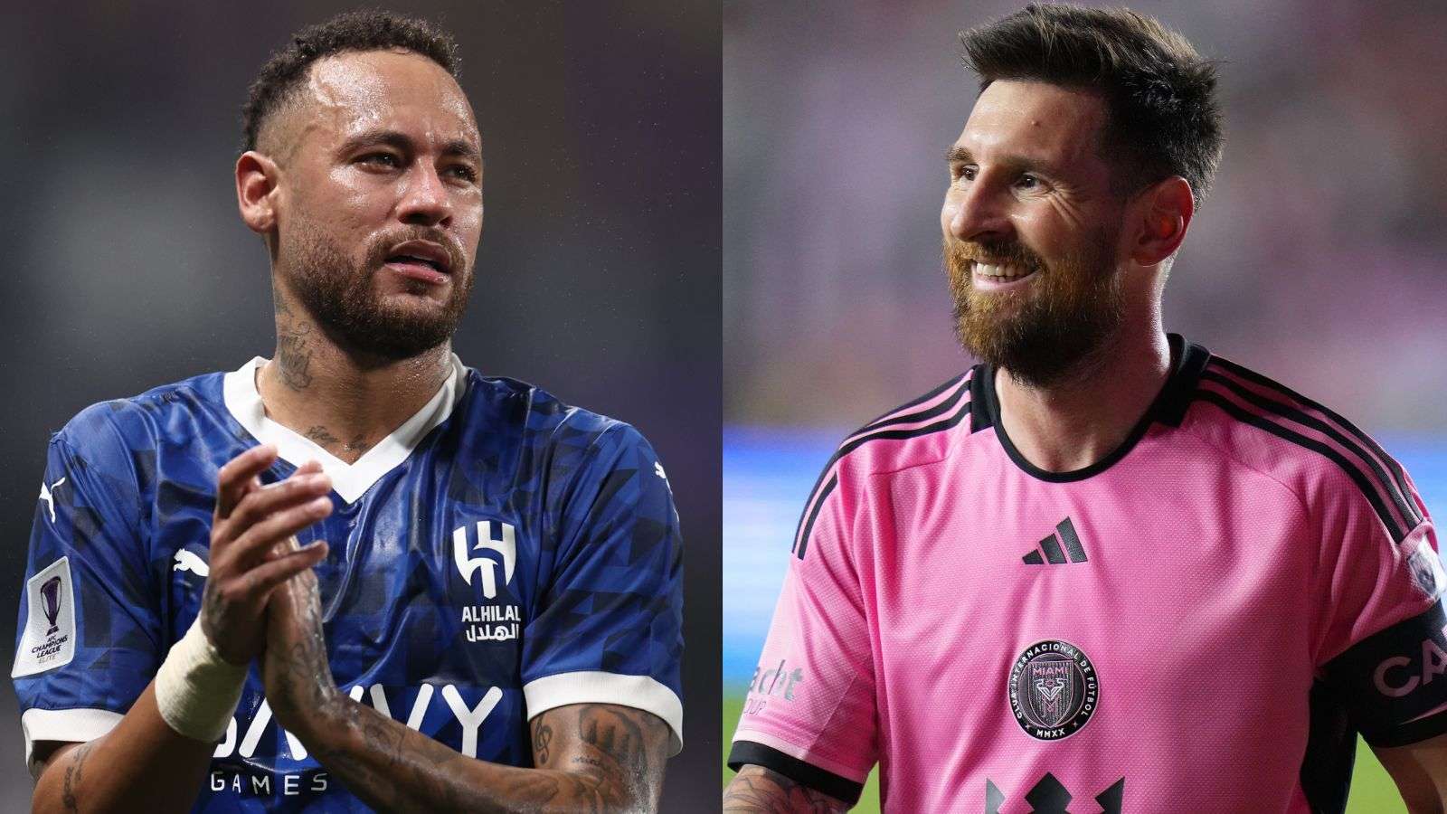 提供了资金 提供了资金