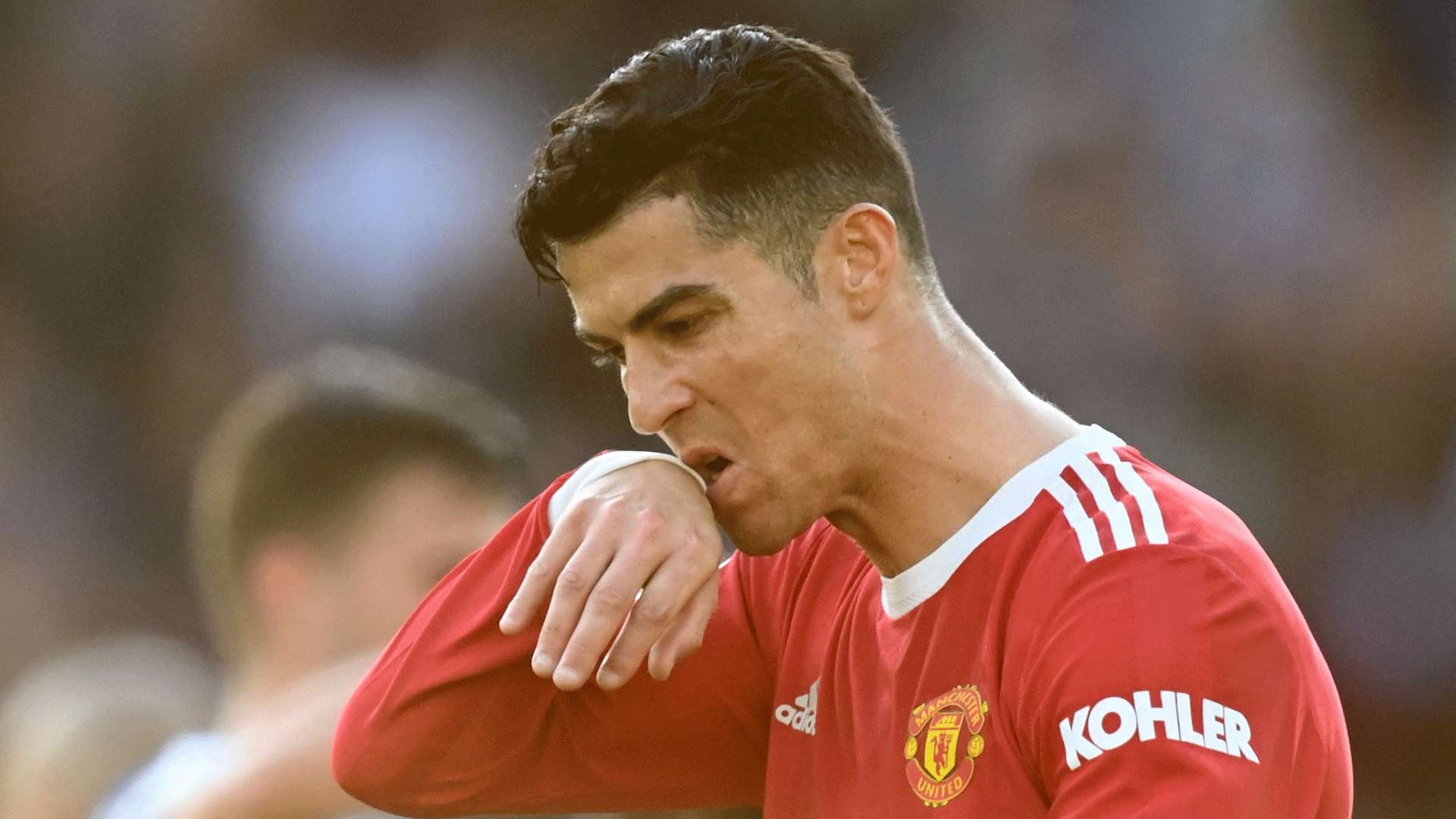 习和体会 习和体会